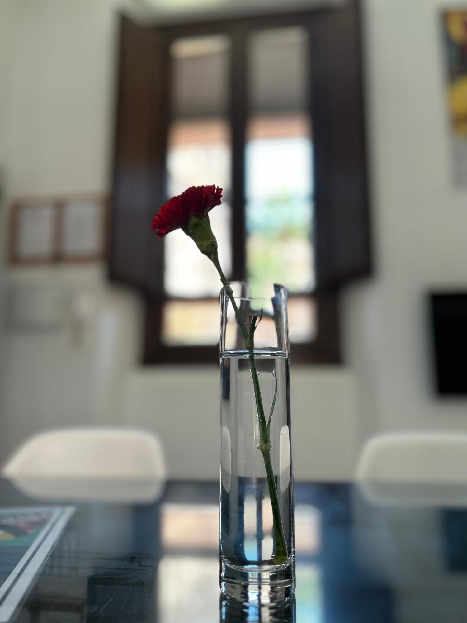 Romanilla Loft Гранада Екстер'єр фото